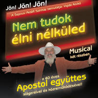Nem tudok élni nélküled új magyar musical az Apostol együttessel!