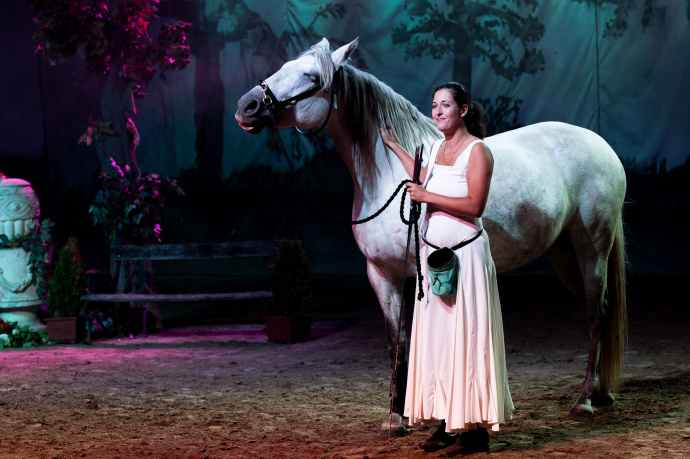 Az ország első Lovasszínháza meghallgatást tart