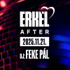 Erkel After - DJ Feke Pál - Jegyek itt!