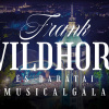 Frank Wildhorn és barátai musicalgála Budapesten! Nyerj 2 jegyet!