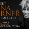 Musicalsztárok is fellépnek a budapesti Tina Turner emlékkoncerten!